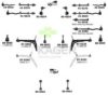 KAGER 80-0126 Wheel Suspension